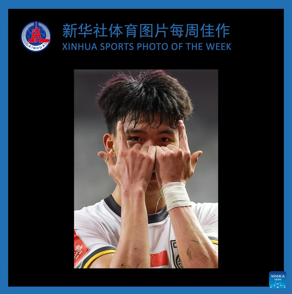 裏不满教练